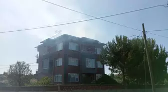 Samsun'un Çarşamba ilçesinde yangınlar hasara yol açtı