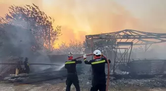 Gönüllü Ceza İnfaz Personeli Orman Yangınlarına Müdahale Etti