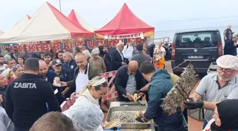 Yalova'da 2. Hamsi Festivali Coşkuyla Gerçekleşti