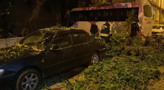 Çorlu'da üzerine ağaç devrilen otomobilde hasar oluştu