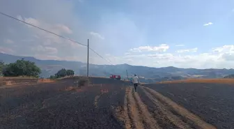 Çorum'da Yangın: 25 Dönüm Ekili Arazi Zarar Gördü