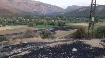 Anız Yangını Sebebiyle 55 Yaşındaki Adam Hayatını Kaybetti