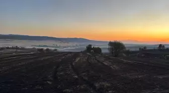 Çorum'da Otluk Arazide Çıkan Yangın Ormana Sıçradı