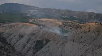 Çorum'un Dodurga İlçesinde Yangın: 10 Dekar Ağaçlık Alan Zarar Gördü