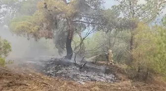 Kargı'da Yıldırım Düşmesi Sonucu Orman Yangını Söndürüldü