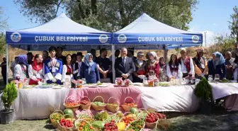 Çubuk Belediye Başkanı Demirbaş'tan Festival Eleştirilerine Yanıt