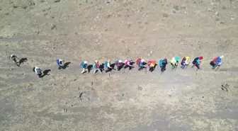 Dağcı kafileleri, mevsim geçişlerinin yaşandığı Ağrı Dağı'nda 3 günlük zorlu tırmanış yapıyor