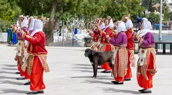 Hayat Boyu Öğrenme Haftası Etkinlikleri Datça'da Başladı