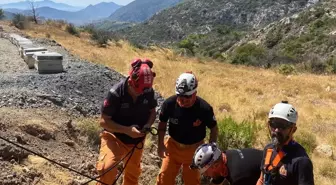 Datça'da Kuyuya Düşen Köpek Gönüllülerce Kurtarıldı