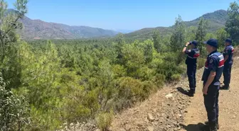 Datça'da Ormanlık Alana İzinsiz Girenlere İdari İşlem