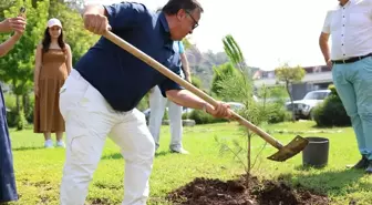 Doğa Dede'nin 650 Fidani Marmaris'e Kazandırıldı