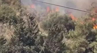 Defne'de Zeytinlik Alanda Yangın Çıktı