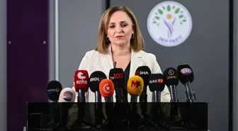 DEM Parti'den TBMM'deki Milli Dayanışma Komisyonu'na Değerlendirme