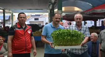 Demirci'de Çiftçilere 40 Bin Sebze Fidesi Dağıtıldı