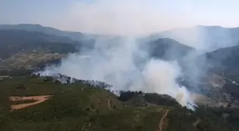 Denizli'de Tarım Alanında Başlayan Yangın Ormana Sıçradı