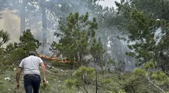 Denizli'de Orman Yangını Söndürüldü