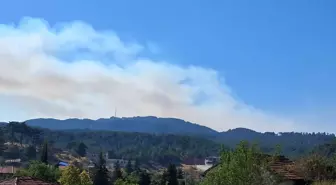 Denizli'deki Orman Yangınına Müdahale Devam Ediyor