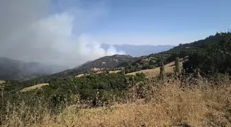 Denizli'de Orman Yangını Kontrol Altına Alındı