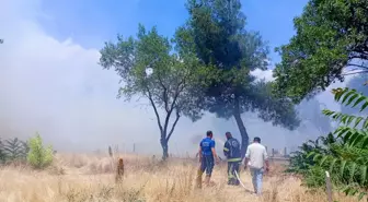 Denizli'de Mezarlıkta Yangın: Ekipler Zarar Gören Mezarlara Müdahale Etti