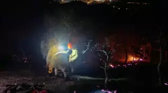 Denizli ve Aydın Arasında Çıkan Orman Yangını Kontrol Altına Alındı