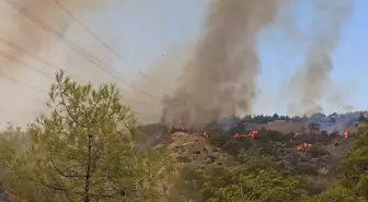 Denizli'nin Çal İlçesinde Orman Yangınına Müdahale Başlatıldı