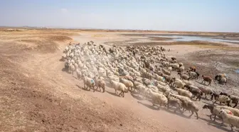 Diyarbakır'daki Devegeçidi Baraj Gölü'nde Kuraklık Tehdidi