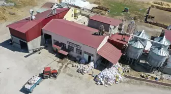 Diyadin'de Son Teknoloji ile Un Üretimi