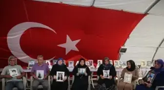 Diyarbakır anneleri, terör örgütü PKK'dan bir grubun silahlarını imha etmesinden memnun
