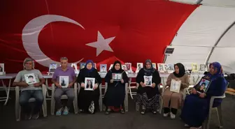 Diyarbakır anneleri, terör örgütü PKK'dan bir grubun silahlarını imha etmesinden memnun