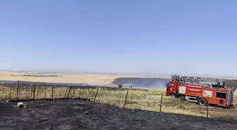 Diyarbakır'da Yangın: 1000 Dekar Ekili Alan Zarar Gördü