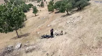Diyarbakır'da Motosiklet Devrildi, Sürücü Yaralandı