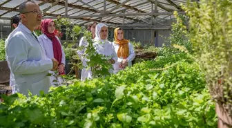 Diyarbakırlı Kadınlar Organik Sabun Üretimine Başladı