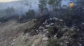 Diyarbakır'ın Lice İlçesinde Orman Yangını Kontrol Altına Alındı