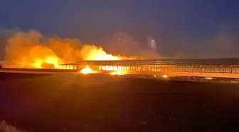 Diyarbakır'da Tarım Arazisinde Yangın Söndürüldü