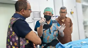Diyarbakır'da Uluslararası Pediatrik Girişimsel Kardiyoloji Çalıştayı Düzenlendi