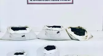 Diyarbakır'da Uyuşturucu Operasyonları: 30 Şüpheli Hakkında İşlem Yapıldı