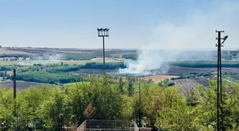 Hevsel Bahçeleri'nde Anız Yangını Söndürüldü