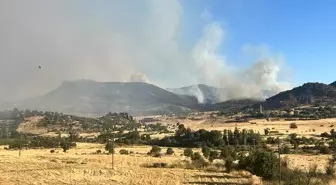 Diyarbakır'da Orman Yangınına Müdahale Ediliyor