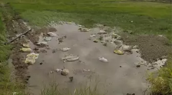 Dodurga'da Sulama Kanalı Onarıldı