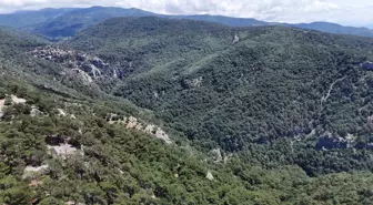 Çanakkale’de Doğa Yürüyüşünde Kaybolan İl Müdür Yardımcısı İçin Arama Çalışmaları Başlatıldı