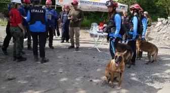 2025 FCI Dünya Arama Kurtarma Köpekleri Ekip Şampiyonası'nda Ödüller Dağıtıldı