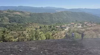 Düzce'de Çalılık Alandaki Yangın Kontrol Altına Alındı