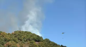 Düzce'de Orman Yangınına Müdahale Devam Ediyor