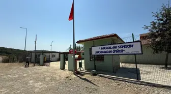 Düzce'de Hayvan Barınağı'nın Alanı Genişletiliyor