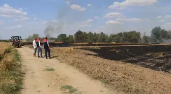 Edirne'de Buğday Tarlasında Yangın: 10 Dekar Alan Zarar Gördü