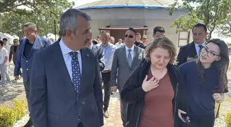 Edirne'de 18 Saat Ağaçta Mahsur Kalan Kedi Kurtarıldı