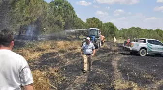 Edirne'de Buğday Tarlasında Yangın: 5 Dekar Zarar Gördü