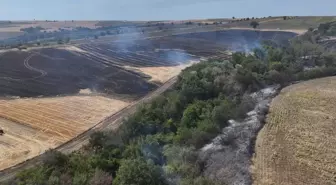 Edirne'de Yangın: 150 Dekar Tarım Arazisi Zarar Gördü
