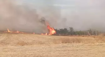 Edirne'de Anız Yangını Ağaçlık Alana Sıçradı