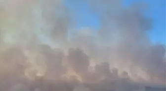 Edirne'de Anız Yangını Ormanlık Alana Sıçradı